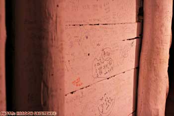 IMG_ (11871)